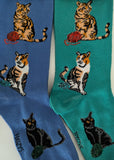 Cat Trio   FC-268
