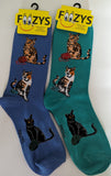 Cat Trio   FC-268