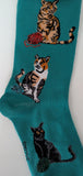 Cat Trio   FC-268