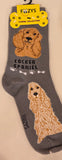 Cocker Spaniel Canine Collection Socks  FCC-10