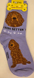 Irish Setter Canine Collection Socks  FCC-45  ON SALE NOW
