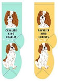 Cavalier King Charles Canine Collection Socks  FCC-08  ON SALE NOW